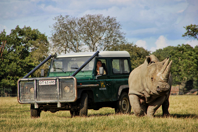  Кнутенборг, Сафари-парк Knutenborg, Safari park.