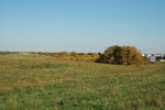 Славная осень.
